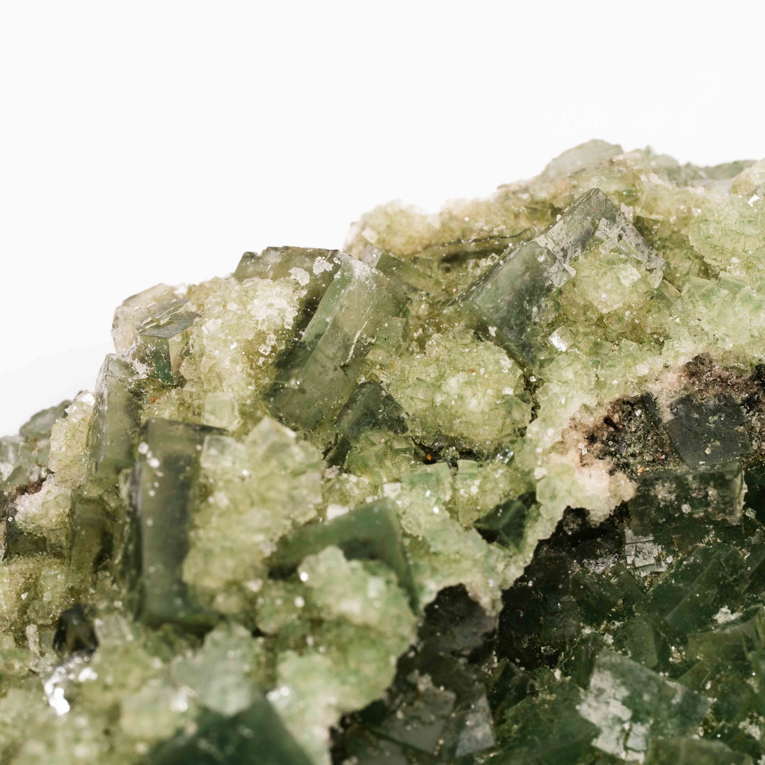Atacamite in Halite