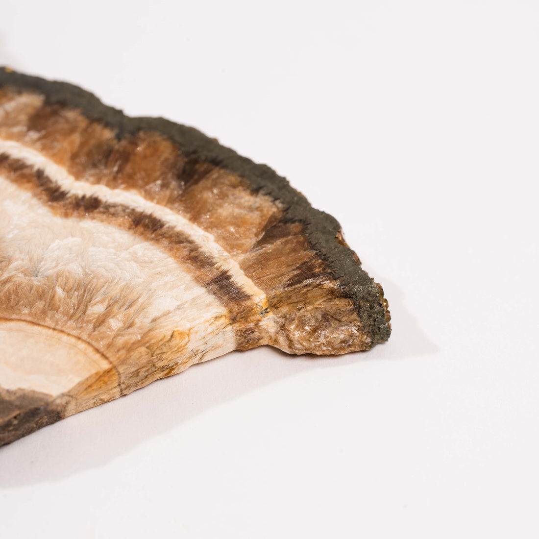 Barite w/ Pyrite - Slab