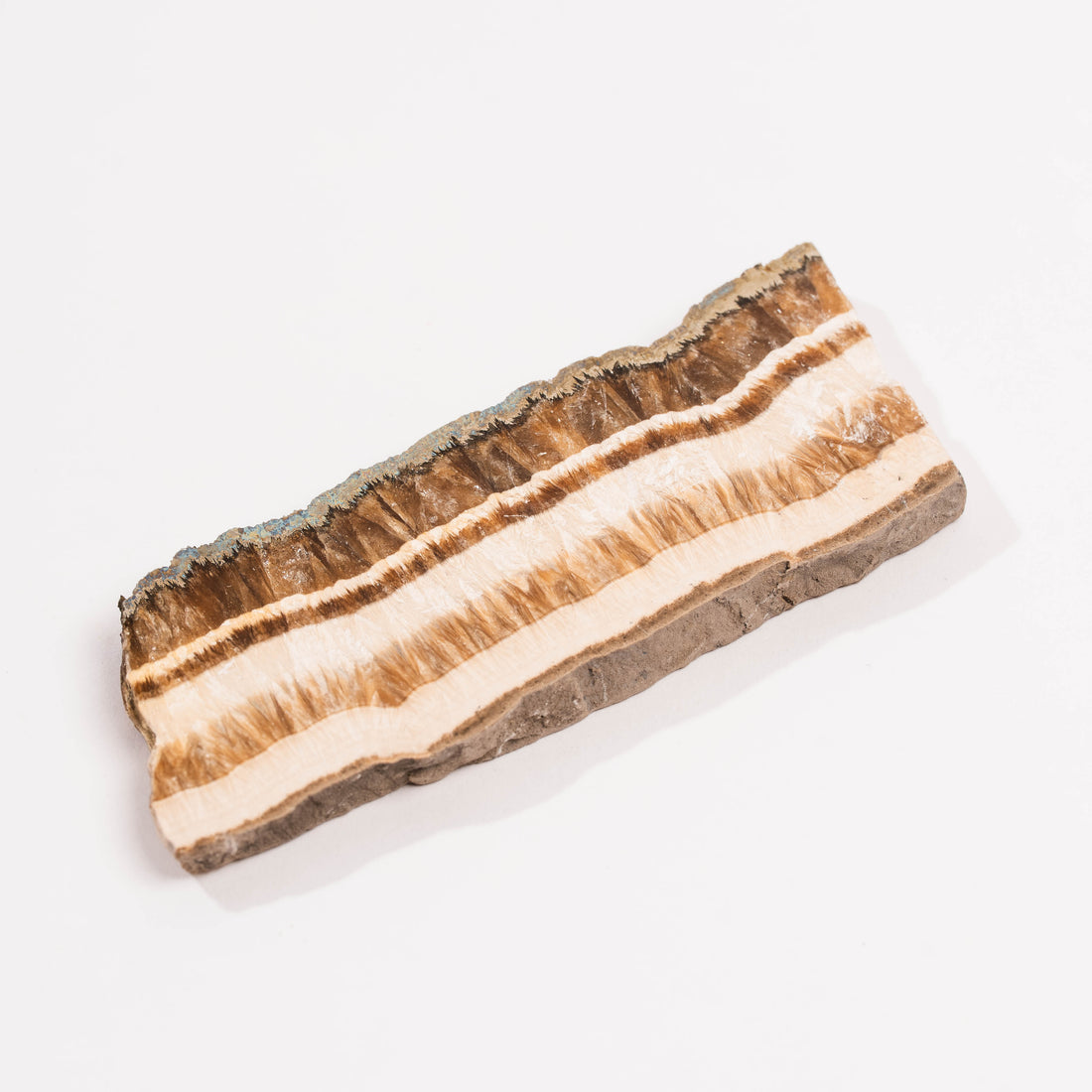 Barite w/ Pyrite - Slab