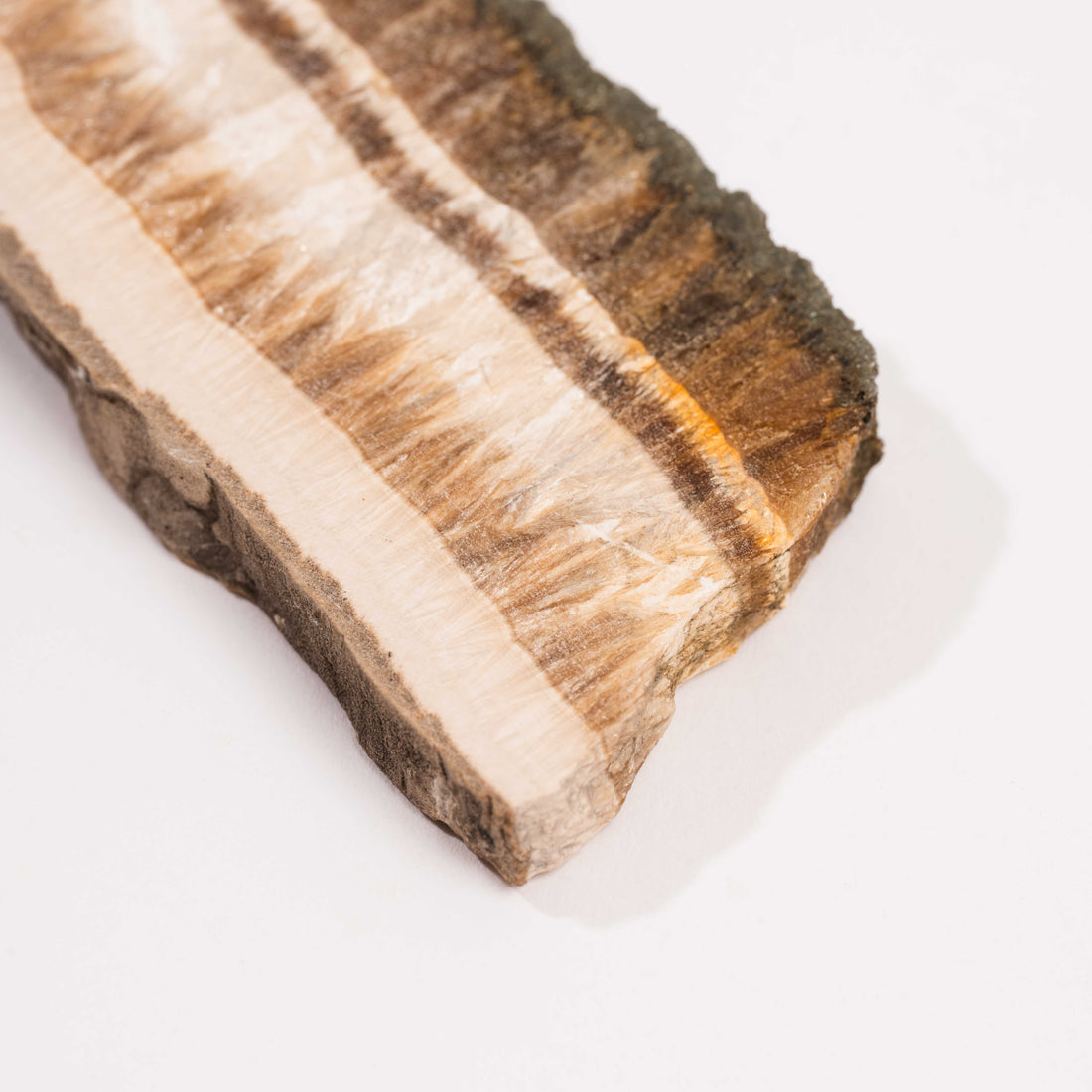 Barite w/ Pyrite - Slab