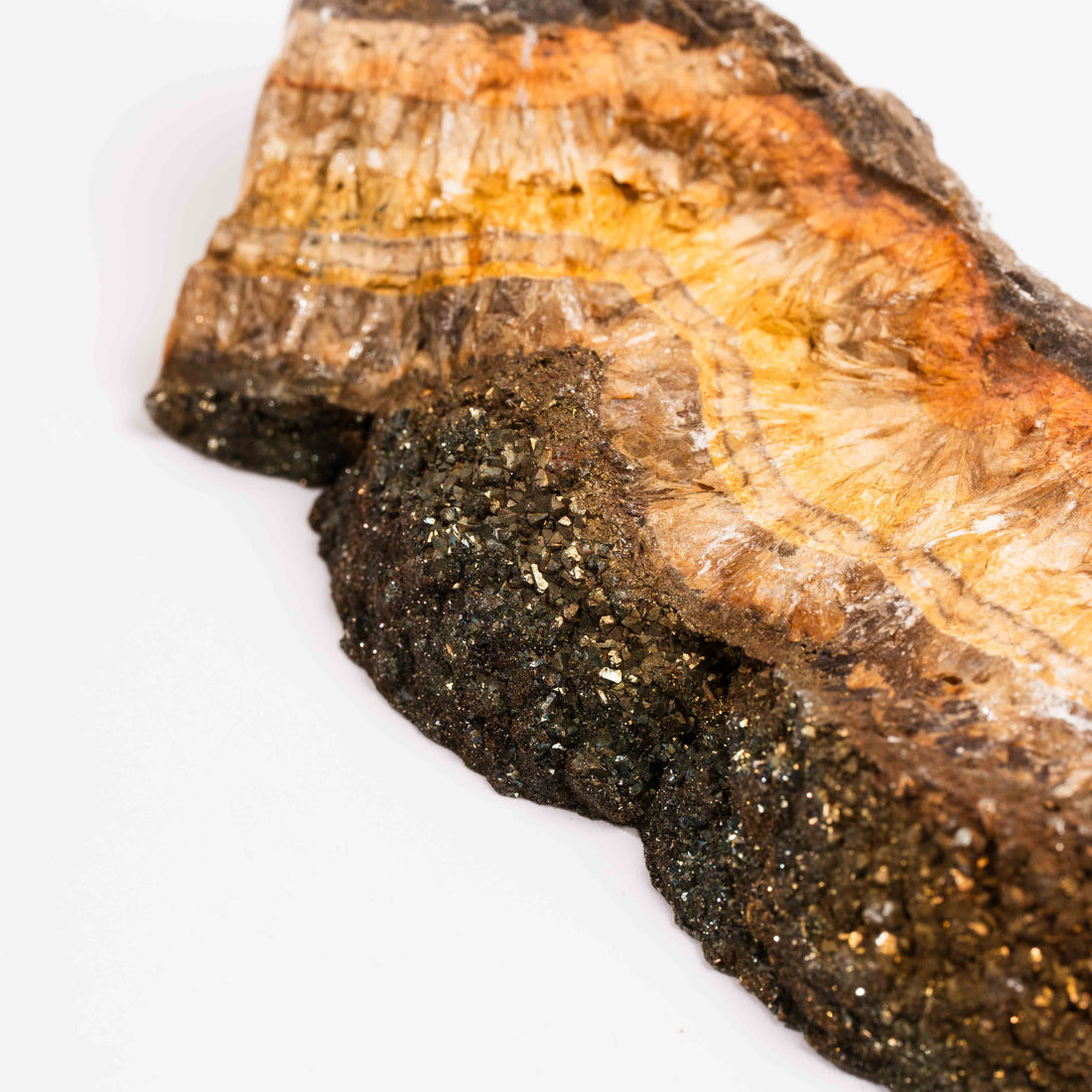 Barite w/ Pyrite - Slab