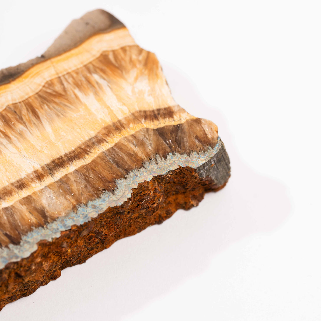 Barite w/ Pyrite - Slab