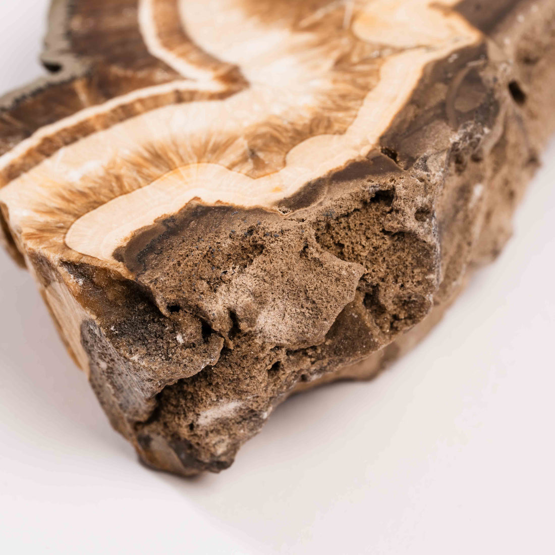 Barite w/ Pyrite - Slab