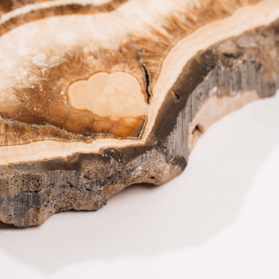 Barite w/ Pyrite - Slab