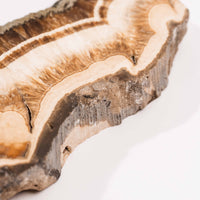 Barite w/ Pyrite - Slab