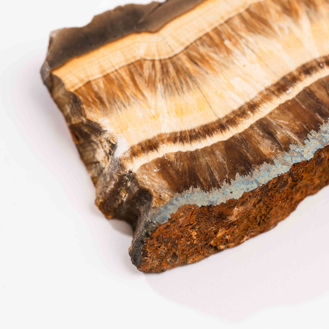 Barite w/ Pyrite - Slab