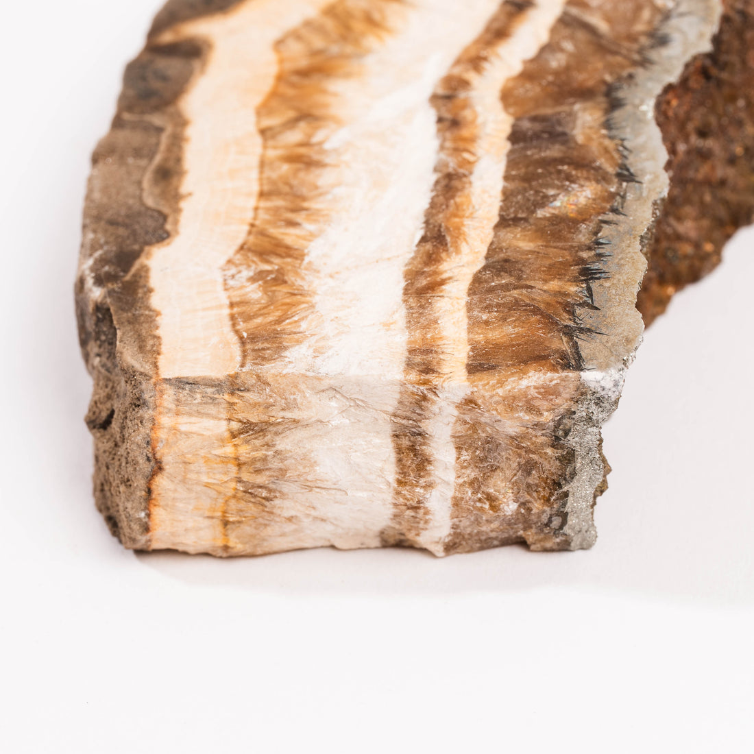 Barite w/ Pyrite - Slab