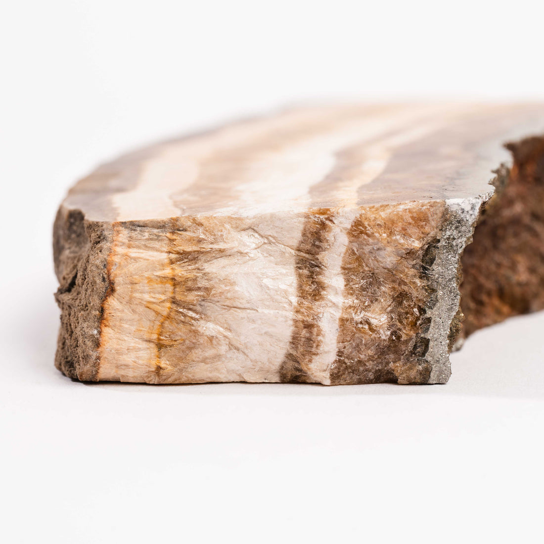 Barite w/ Pyrite - Slab