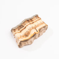 Barite w/ Pyrite - Slab