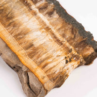 Barite w/ Pyrite - Slab