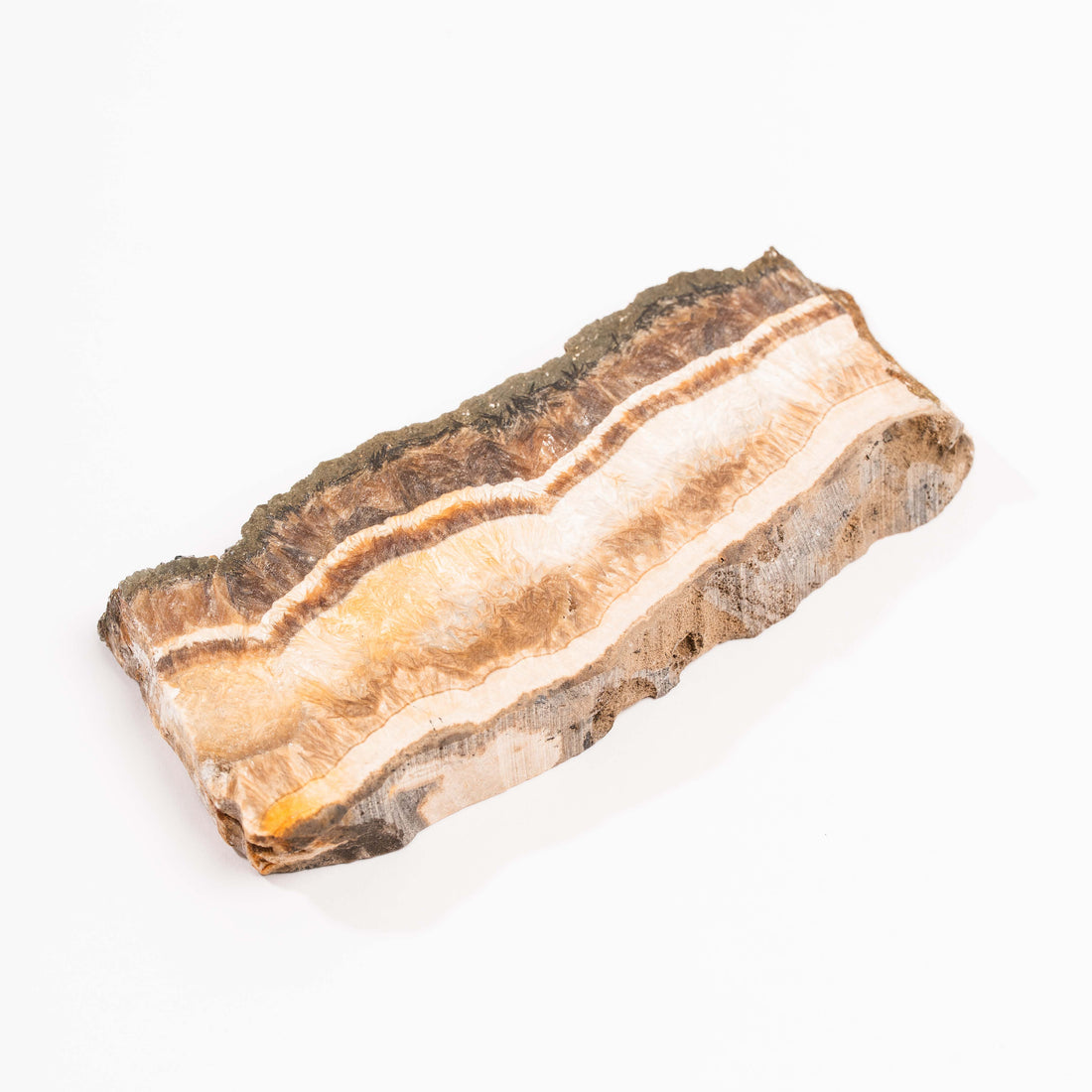 Barite w/ Pyrite - Slab