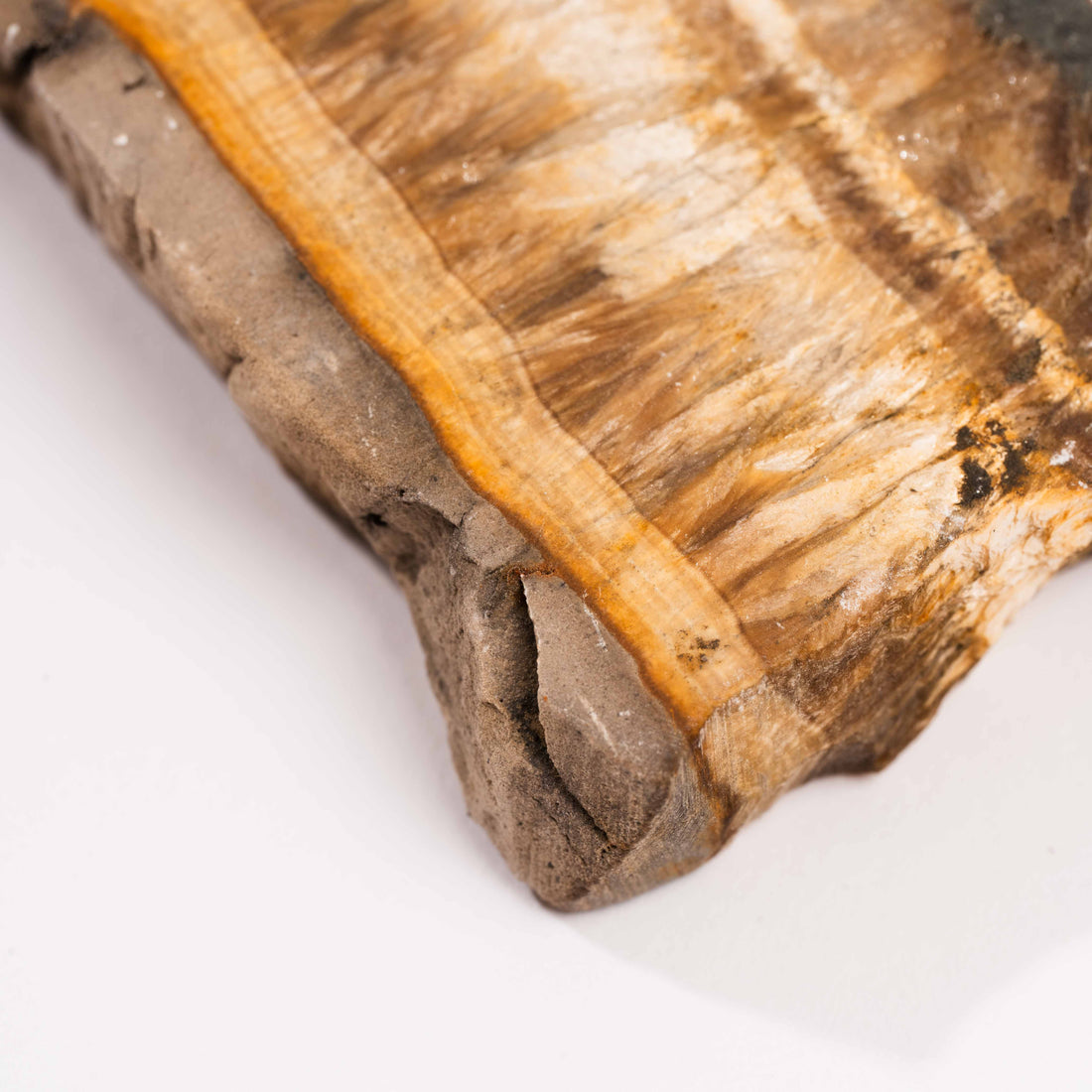 Barite w/ Pyrite - Slab