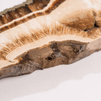 Barite w/ Pyrite - Slab