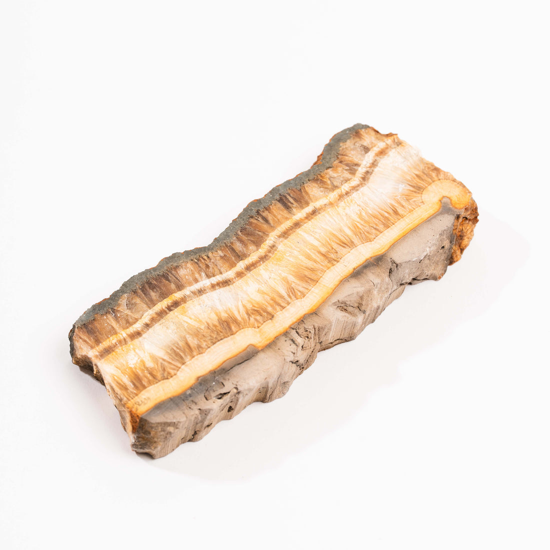 Barite w/ Pyrite - Slab