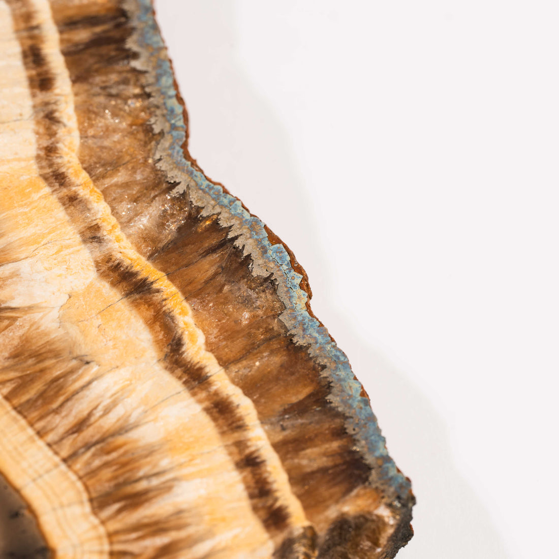 Barite w/ Pyrite - Slab