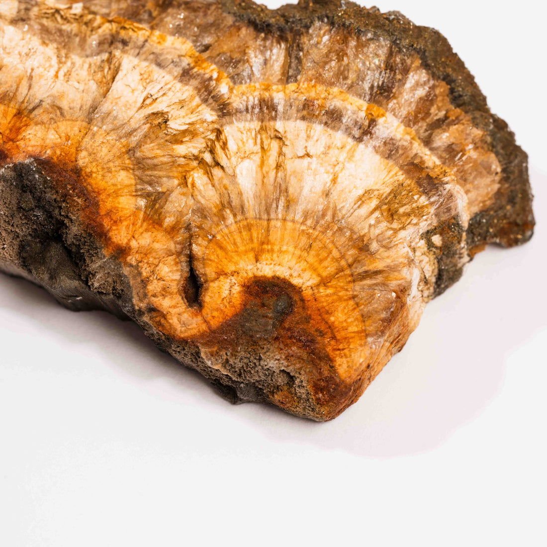 Barite w/ Pyrite - Slab