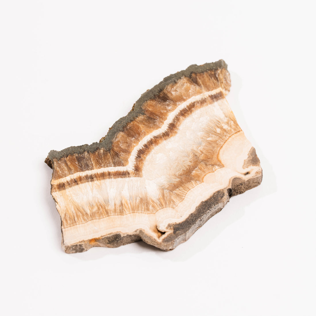 Barite w/ Pyrite - Slab