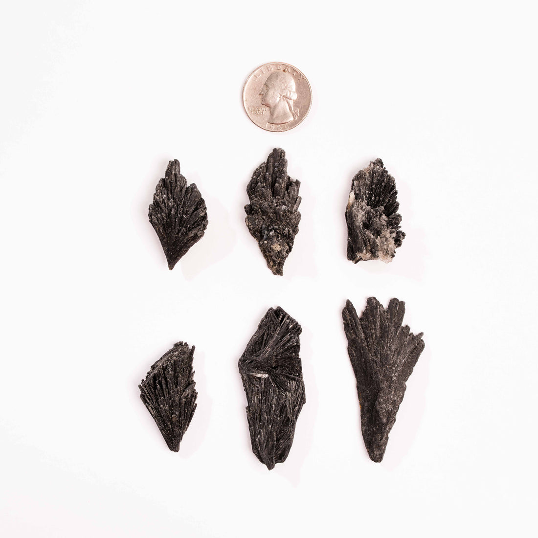 Kyanite - Black, Rough Small Intuitive