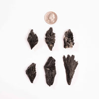 Kyanite - Black, Rough Small Intuitive