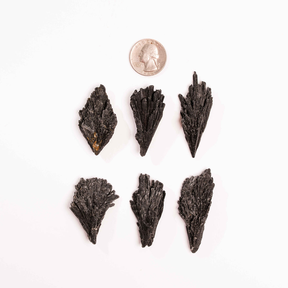 Kyanite - Black, Rough Small Intuitive