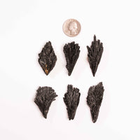 Kyanite - Black, Rough Small Intuitive