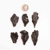Kyanite - Black, Rough Small Intuitive