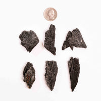 Kyanite - Black, Rough Small Intuitive