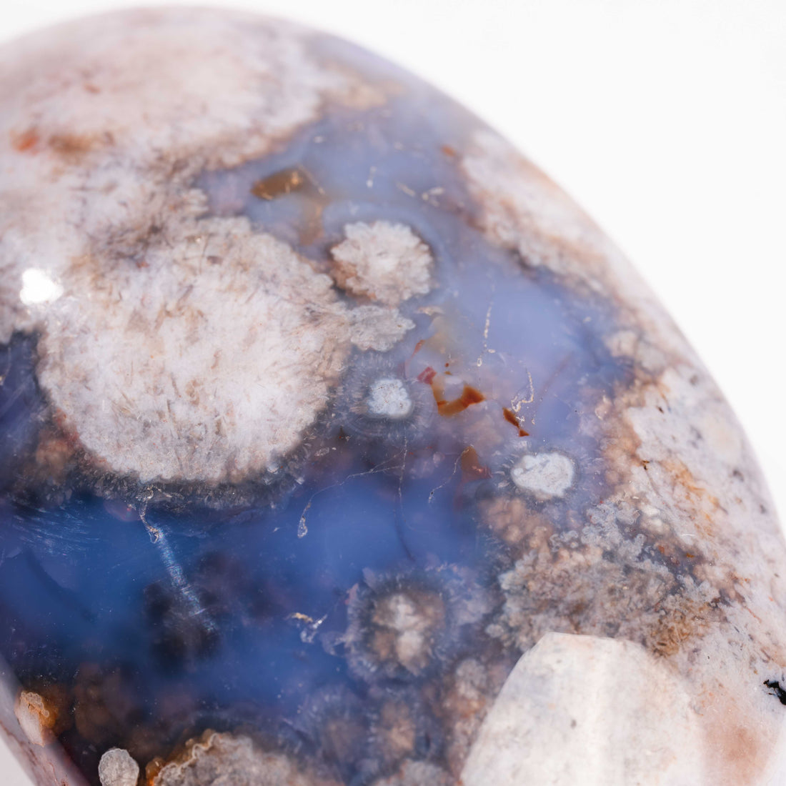 Agate, Blue Flower- Palm