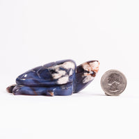 Agate, Blue Flower- Turtle Carving