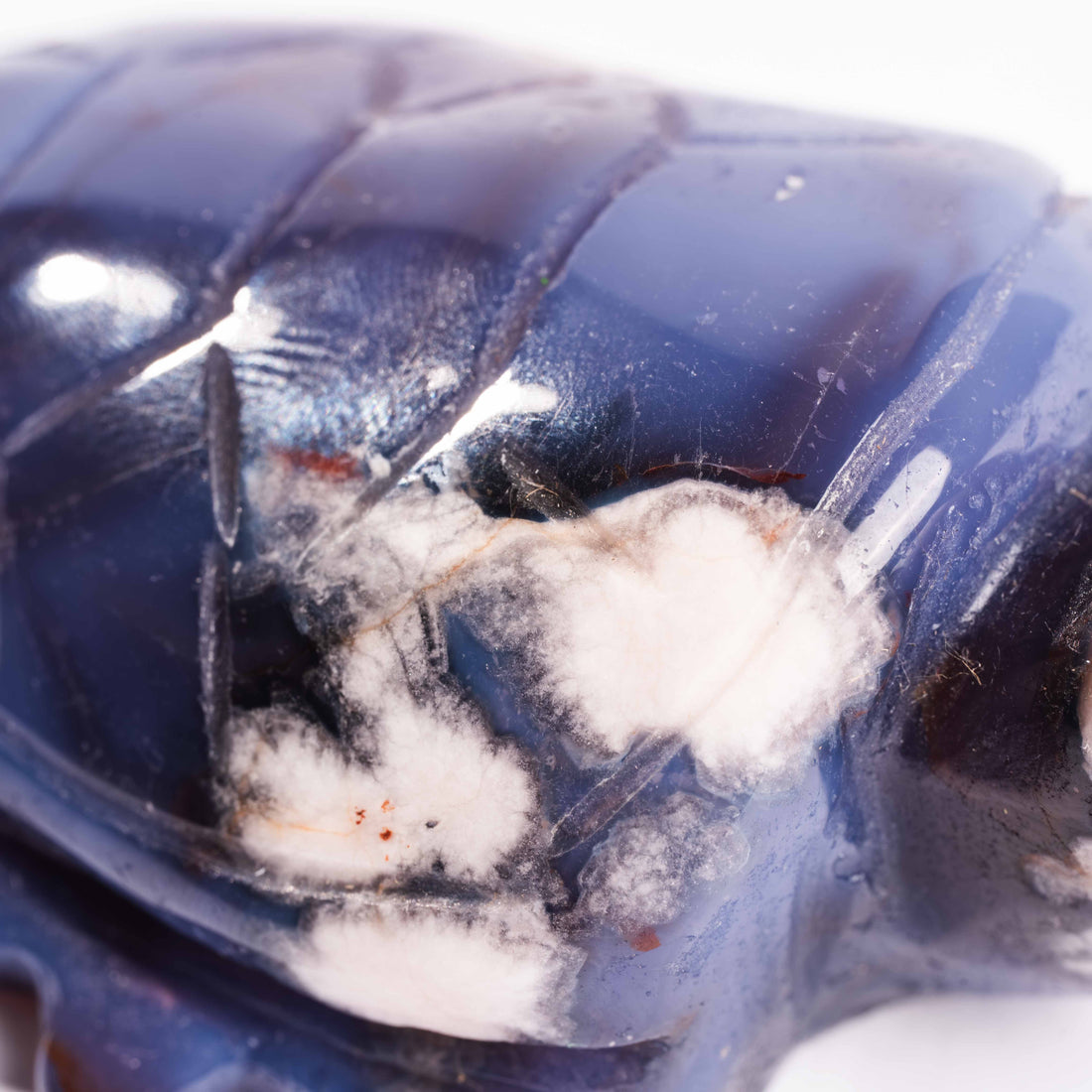 Agate, Blue Flower- Turtle Carving