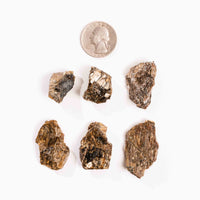 Bronzite- Intuitive Pick