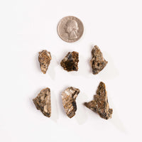 Bronzite- Intuitive Pick