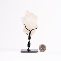 Quartz, Clear- Cathedrals