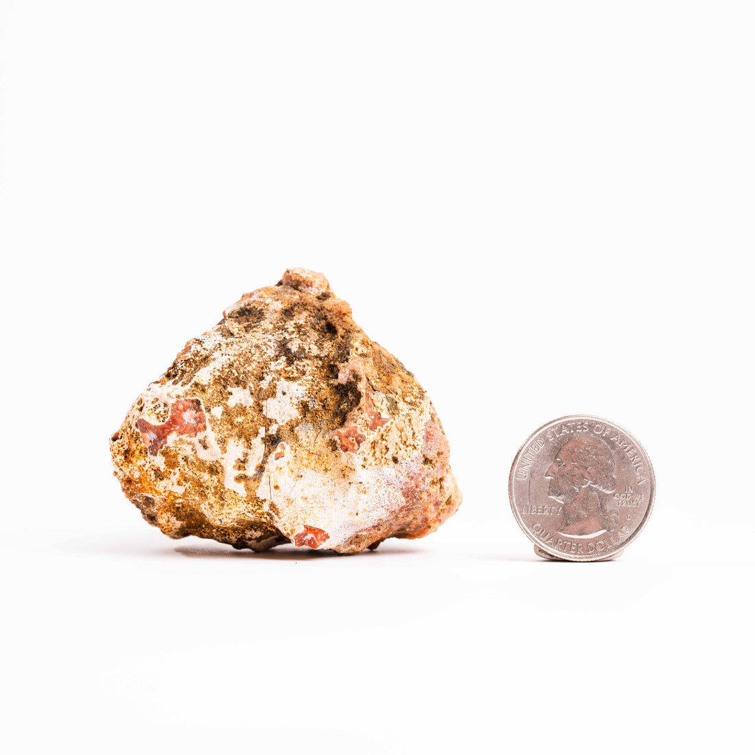 Chalcedony, Purple- Geode