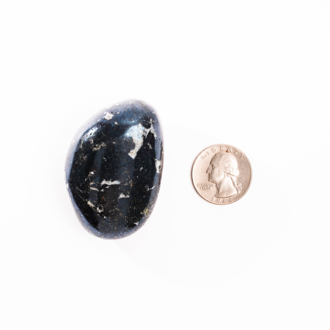 Covellite - Palm, Polished