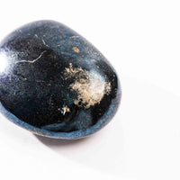 Covellite - Palm, Polished