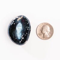 Covellite - Palm, Polished