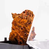Crocoite- Cluster
