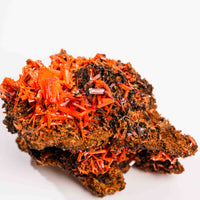 Crocoite- Cluster