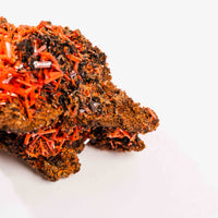 Crocoite- Cluster