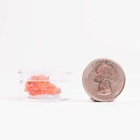Crocoite- Cluster