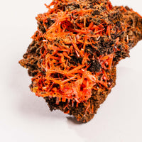 Crocoite- Cluster