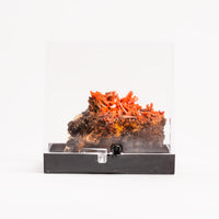 Crocoite- Cluster