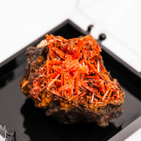 Crocoite- Cluster
