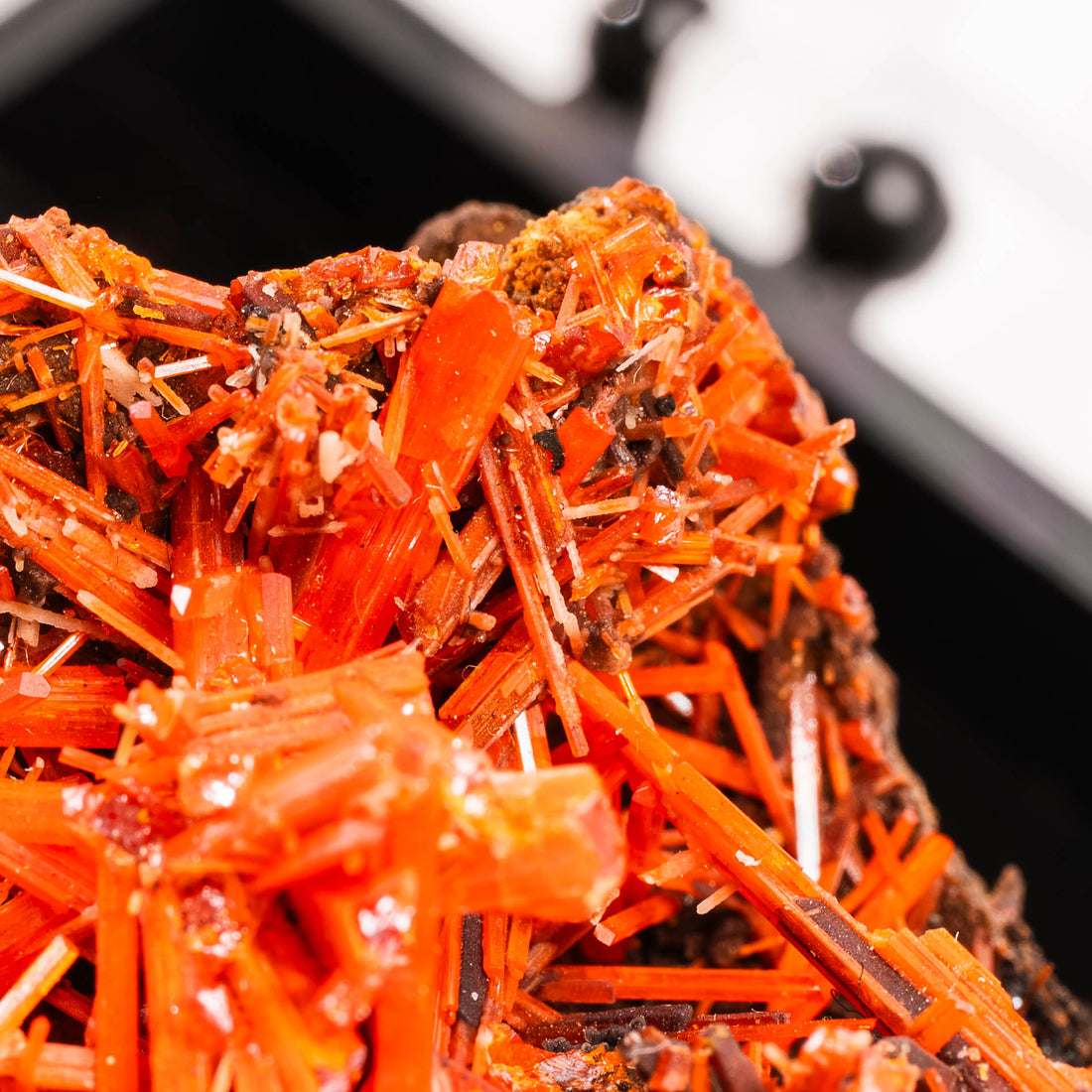 Crocoite- Cluster
