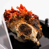 Crocoite- Cluster