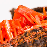 Crocoite- Cluster