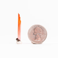 Crocoite- Needle