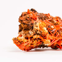 Crocoite- Cluster