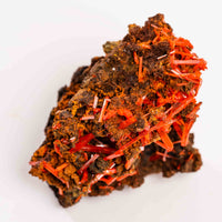 Crocoite- Cluster